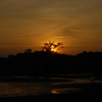 Siona jungle tour